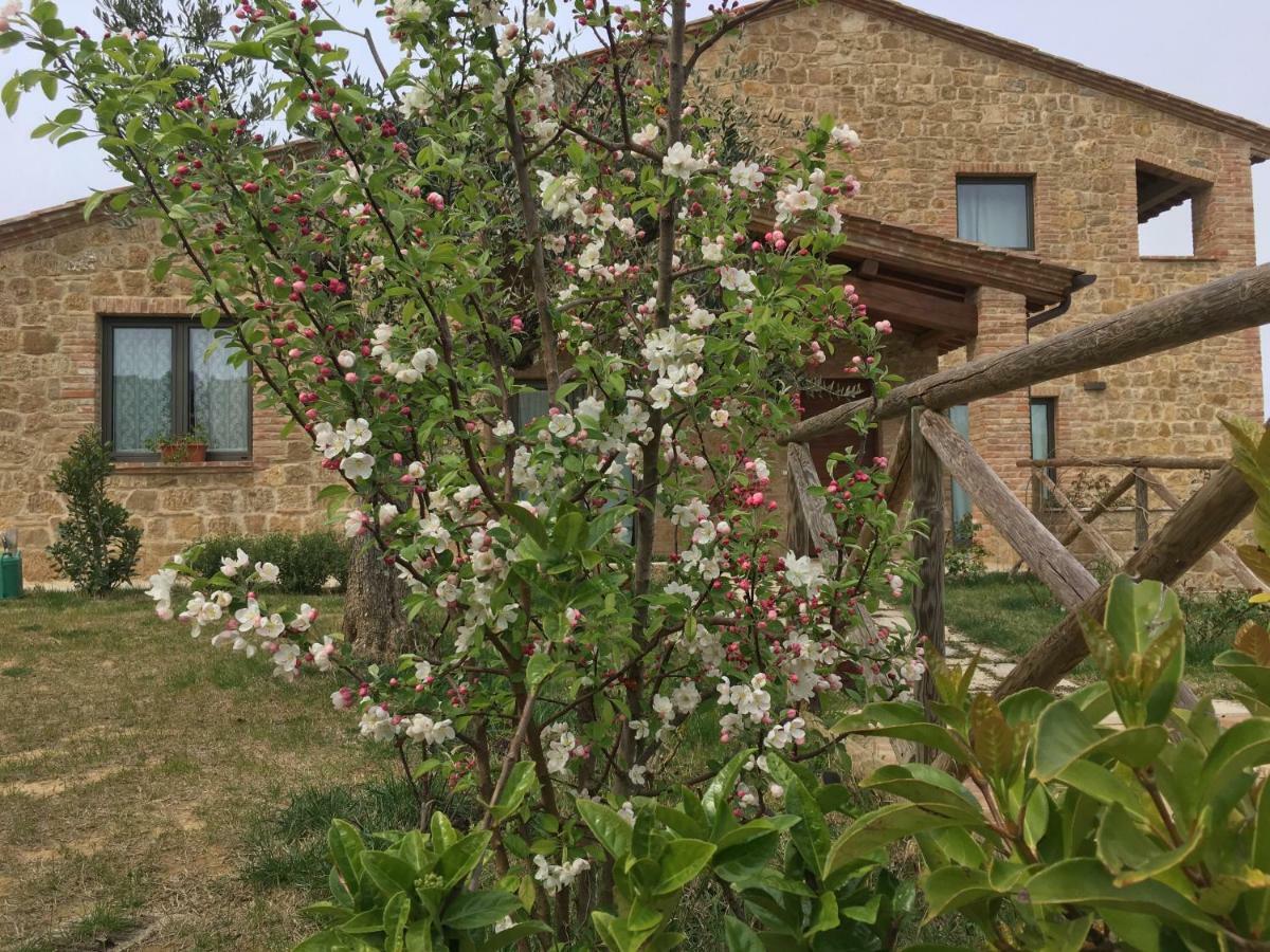 Vila Residenza Al Poggio Degli Ulivi Montepulciano Stazione Exteriér fotografie